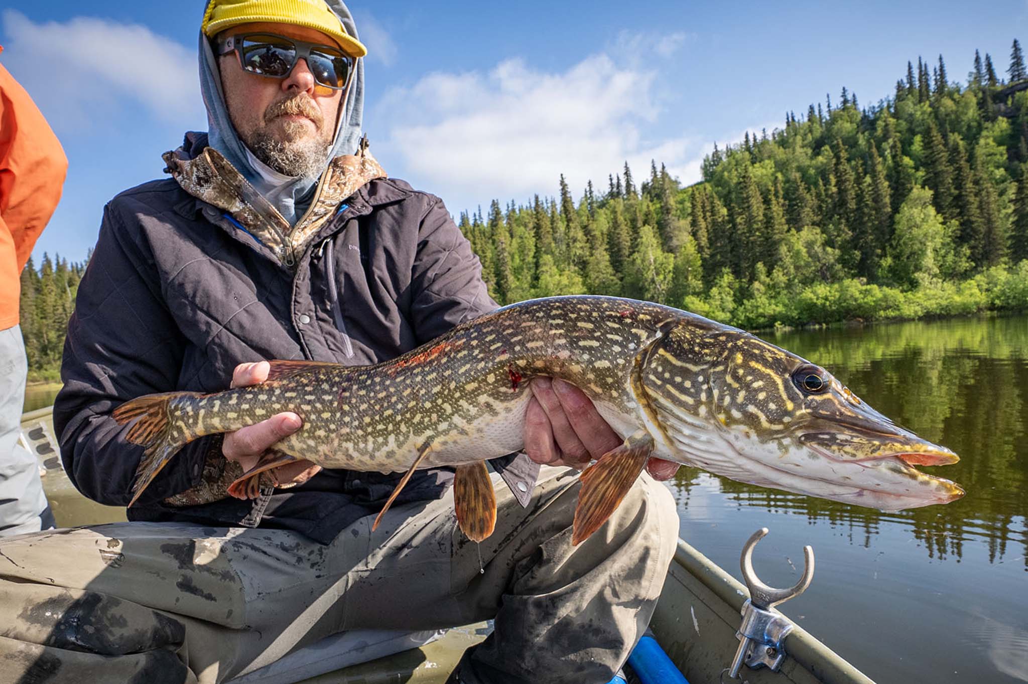 Fly Fishing Northern Pike Alaska