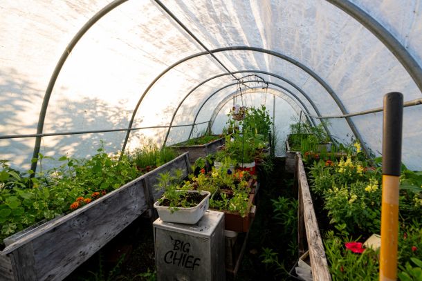 Alaskan Lodge Greenhouse