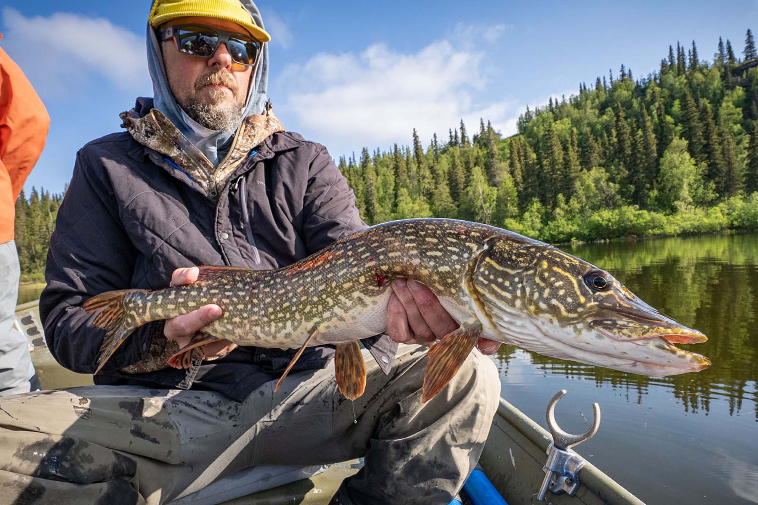 Fly Fishing Northern Pike Alaska 